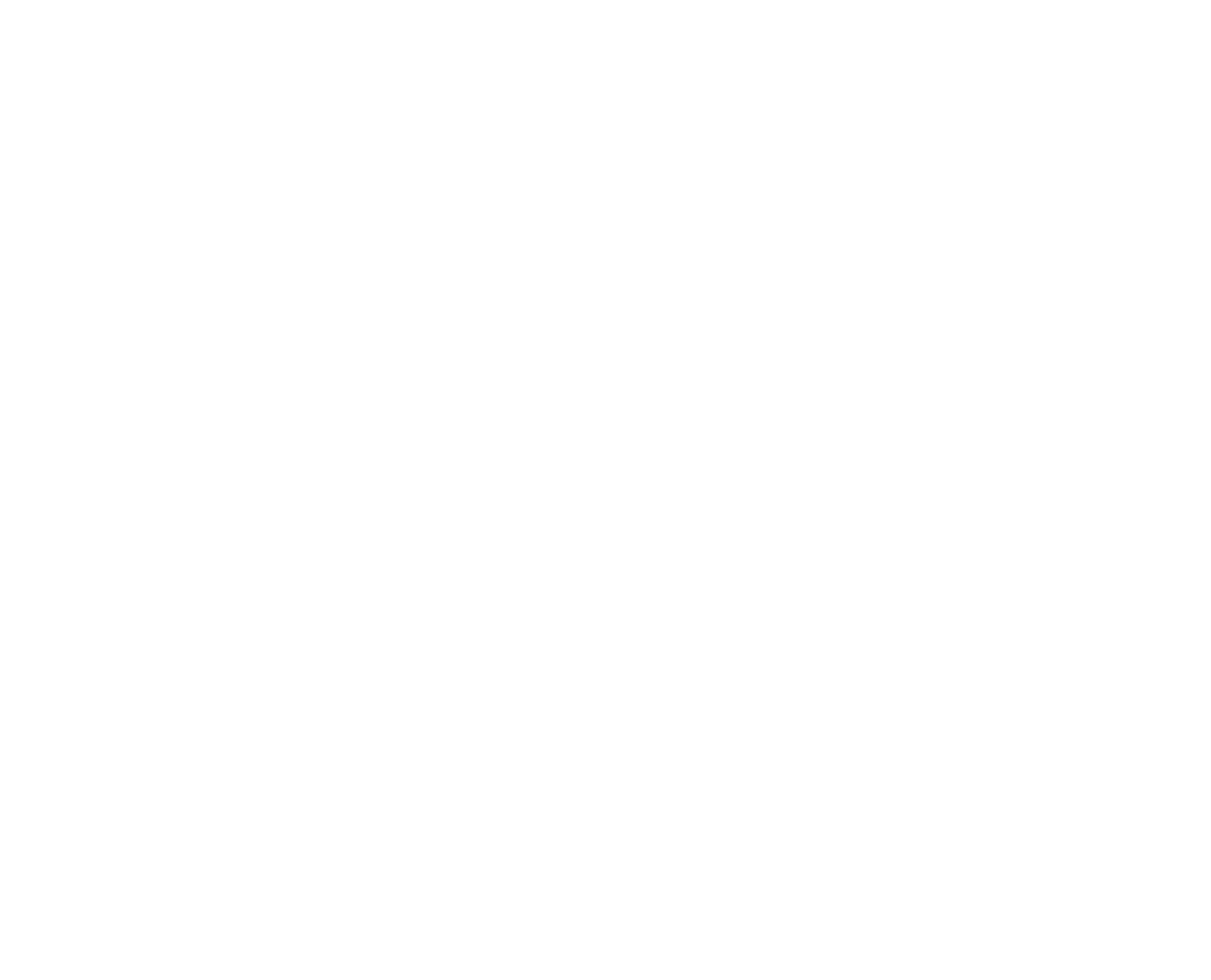 Triathlonverein Dresden e.V.